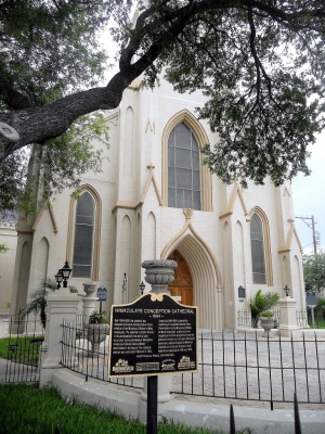 side view with tree branches overhead of the cathedral’s front entrance